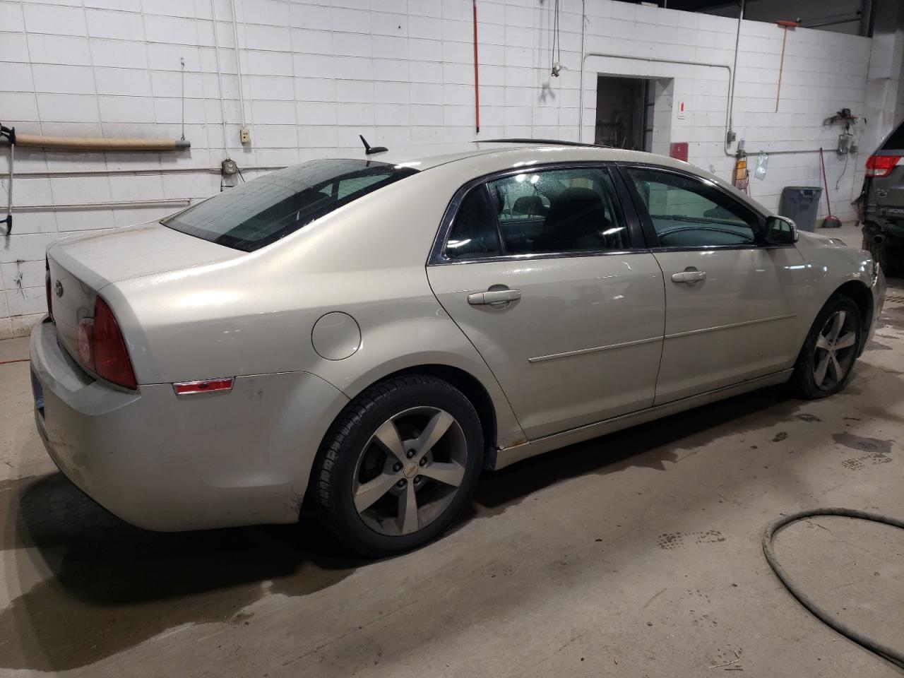 2011 Chevrolet Malibu 1Lt VIN: 1G1ZC5E19BF255039 Lot: 81151934