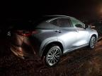 2023 Lexus Nx 350H იყიდება Elgin-ში, IL - Burn - Engine
