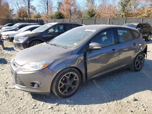  FORD FOCUS 2013 Gray