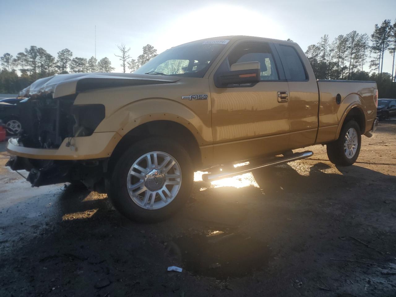 2009 Ford F-150 - Image 1