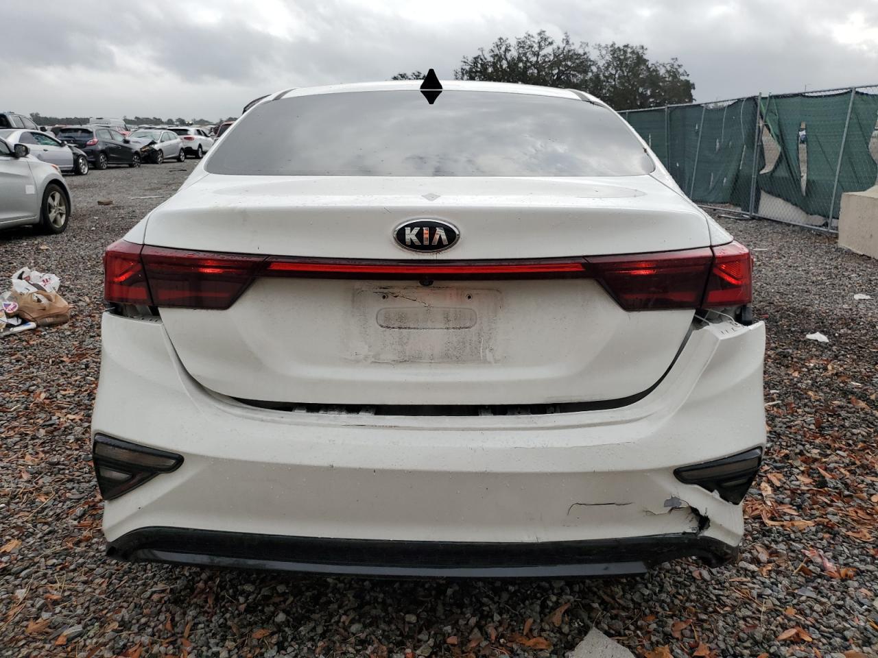 2020 Kia Forte Fe VIN: 3KPF24AD0LE153485 Lot: 79175214