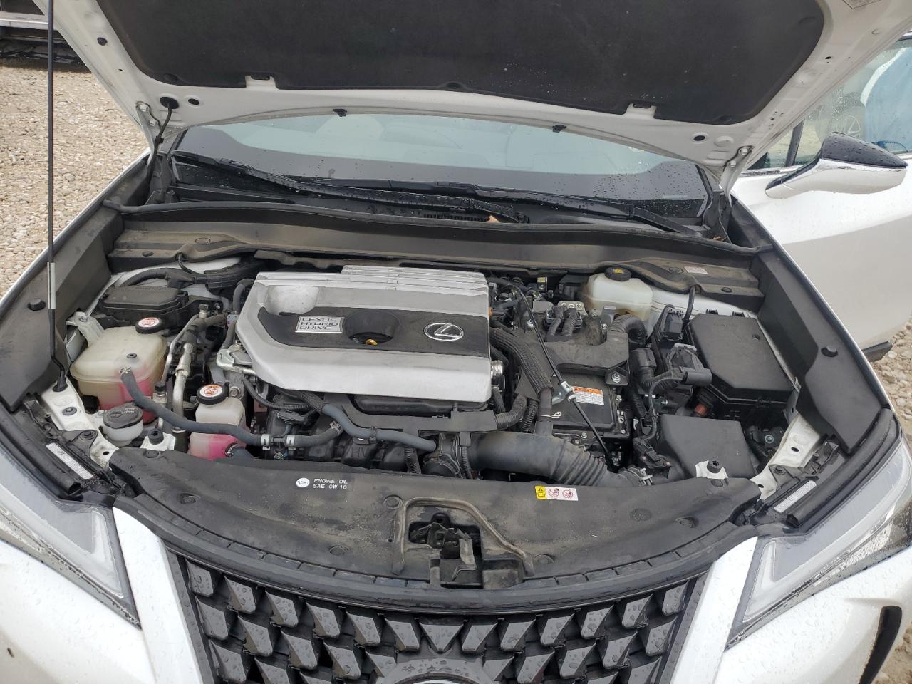 2019 Lexus UX - Image 11