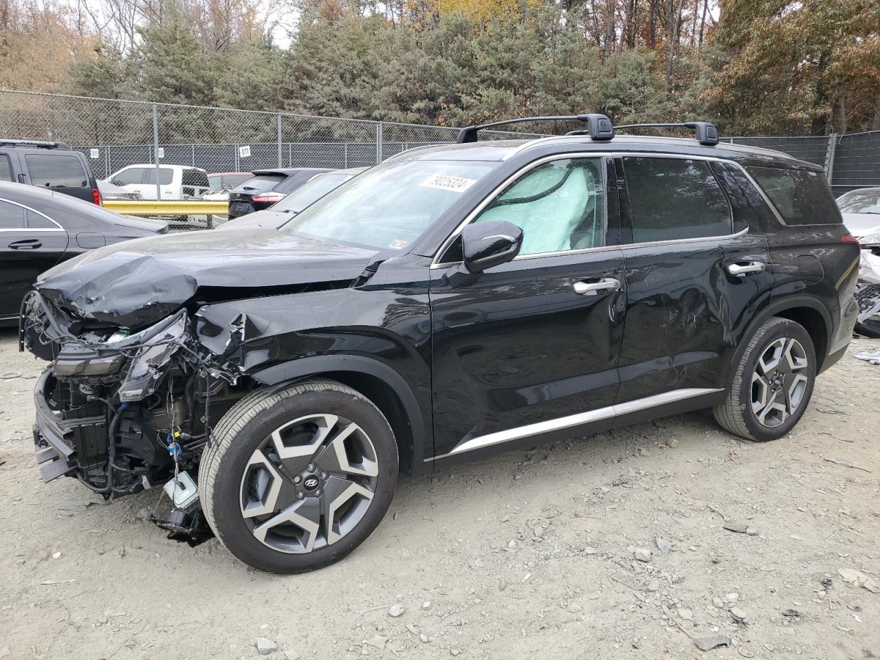 2024 Hyundai Palisade - Image 1