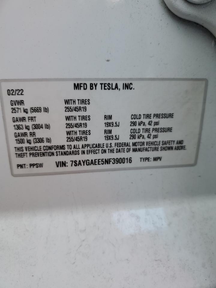 2022 Tesla Model Y VIN: 7SAYGAEE5NF390016 Lot: 81650724