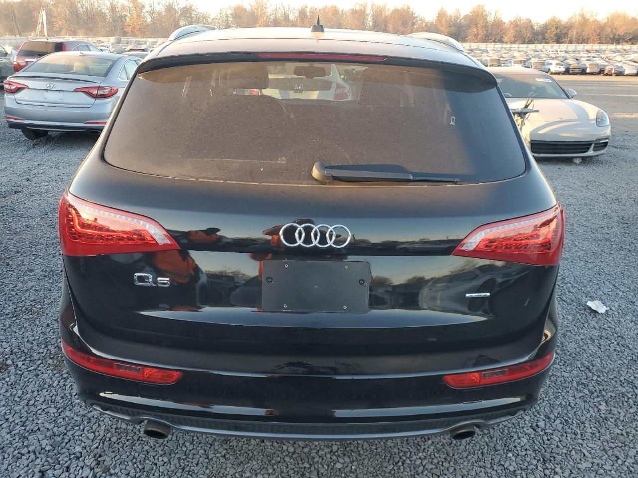 2010 Audi Q5 Premium Plus VIN: WA1MKAFP2AA064052 Lot: 79925884