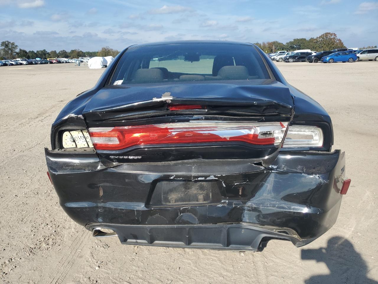 VIN 2C3CDXBG0EH150038 2014 DODGE CHARGER no.6