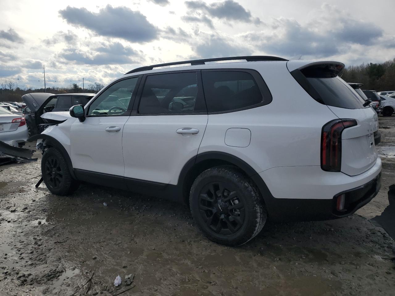 2024 Kia Telluride - Image 2
