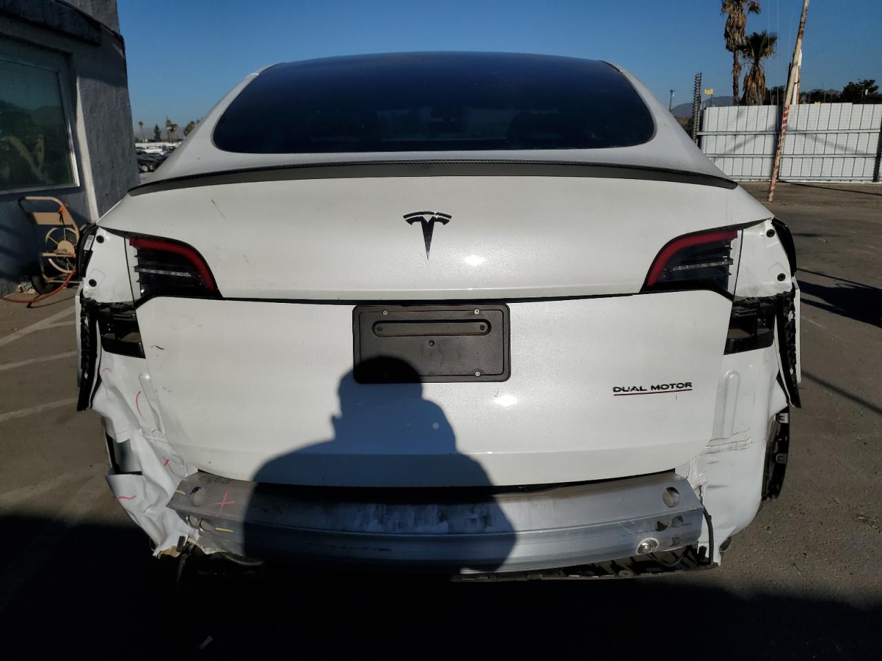 2023 Tesla Model Y VIN: 7SAYGDEF0PF597491 Lot: 81252934