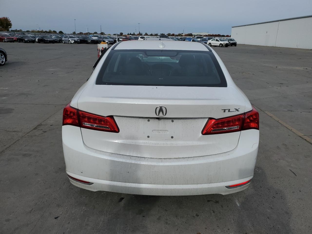 2019 Acura Tlx Technology VIN: 19UUB1F50KA003788 Lot: 80889444