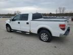 2010 Ford F150 Supercrew na sprzedaż w Bridgeton, MO - Front End