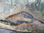 1989 Honda Civic Lx for Sale in Opa Locka, FL - Water/Flood