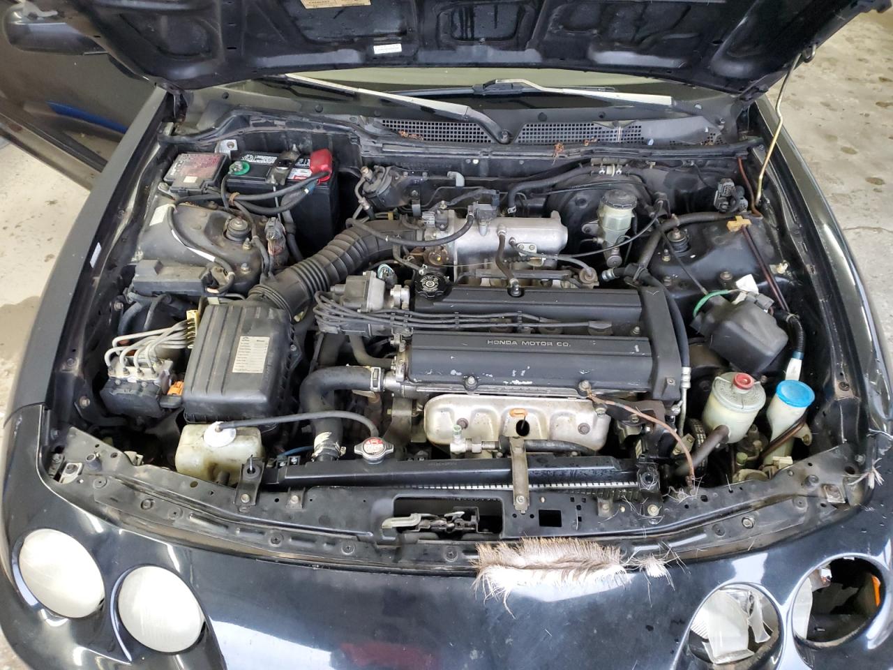 1999 Acura Integra - Image 11