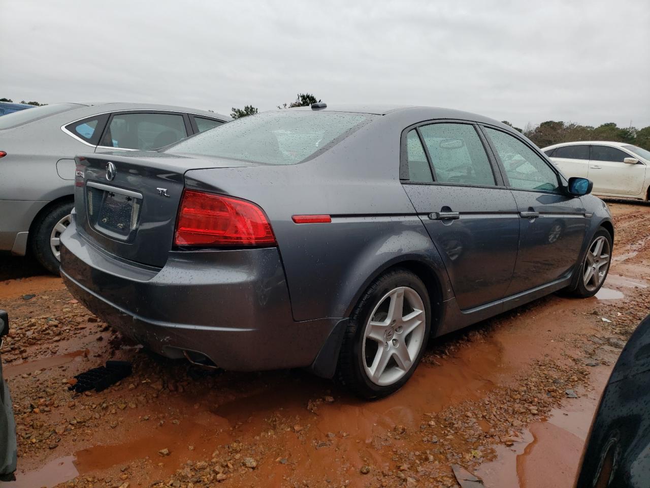 2004 Acura Tl VIN: 19UUA66204A058184 Lot: 81162354