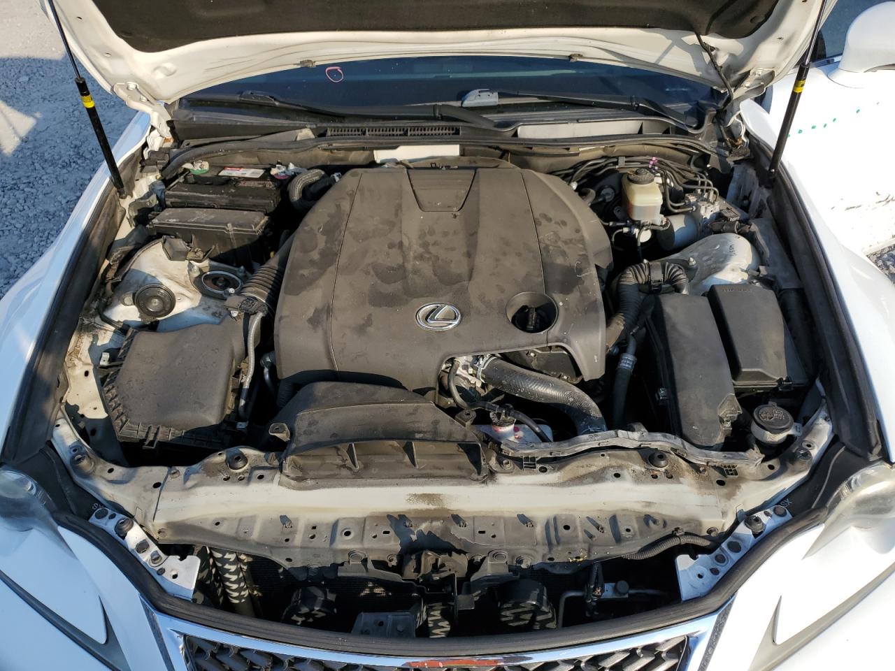 2014 Lexus Is 250 VIN: JTHBF1D28E5010972 Lot: 79256674