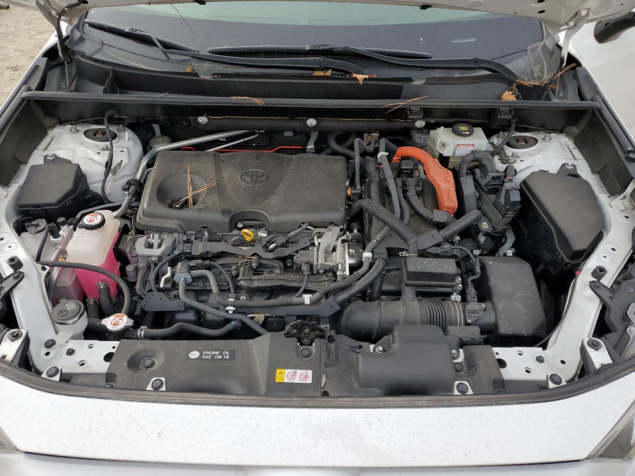 2019 Toyota RAV 4 - Image 12