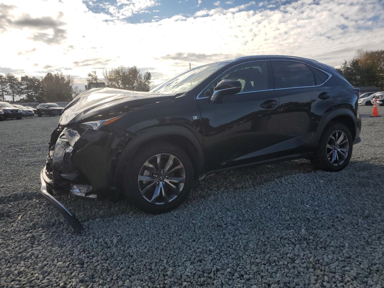 2021 Lexus NX - Image 1