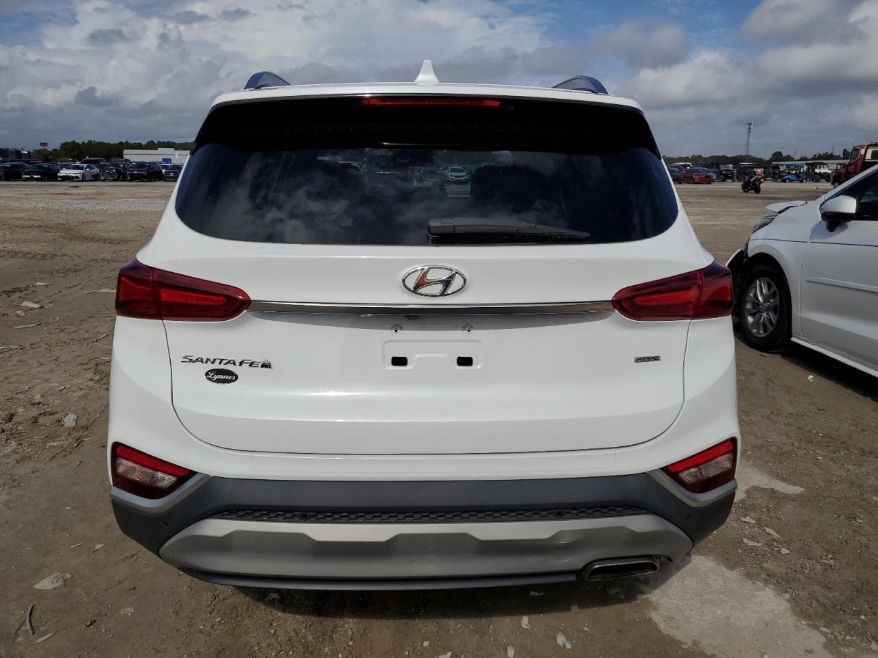 2020 Hyundai Santa Fe Sel VIN: 5NMS3CAD8LH272416 Lot: 79265504