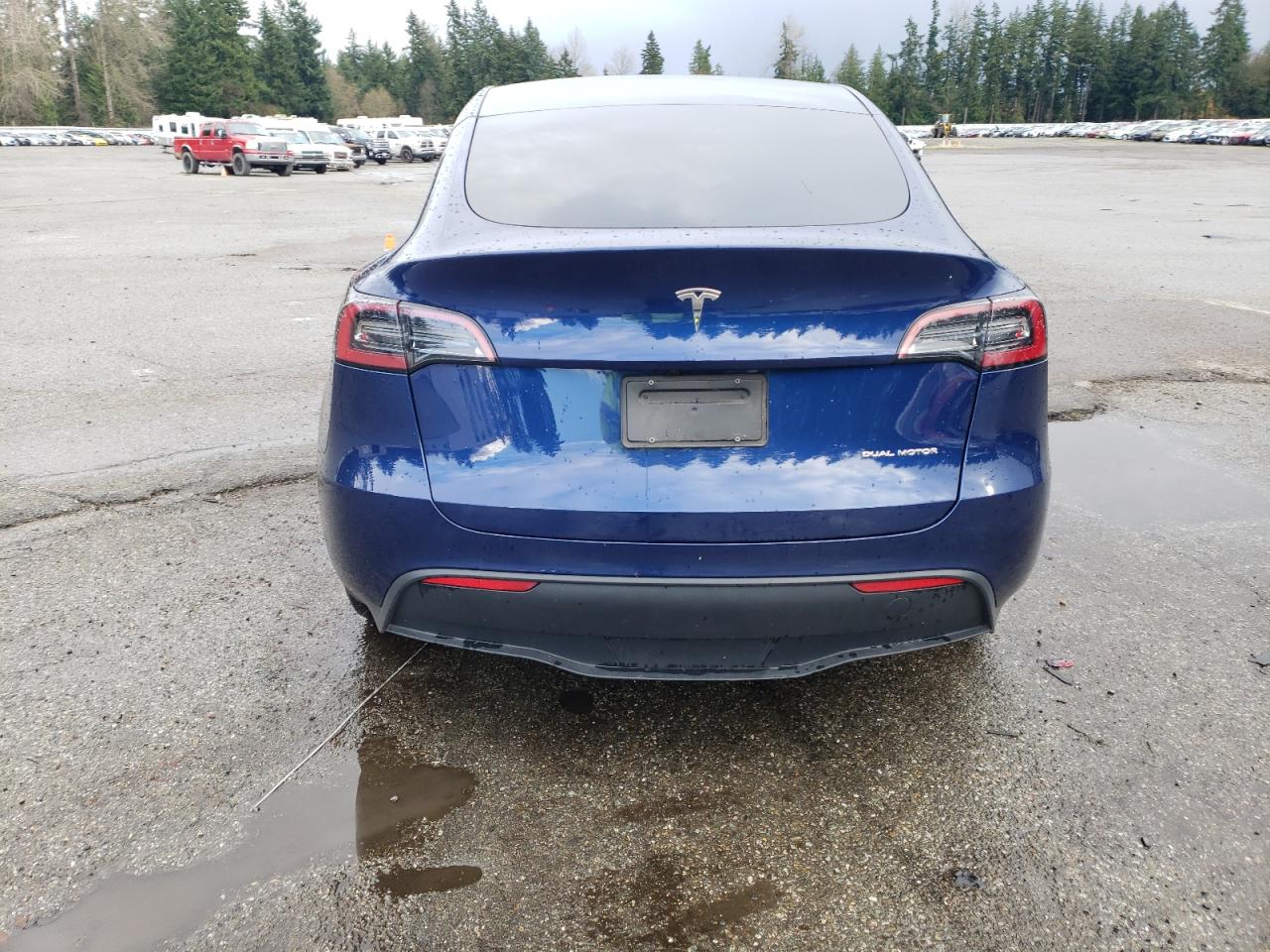 2023 Tesla Model Y VIN: 7SAYGAEE6PF880192 Lot: 80998514