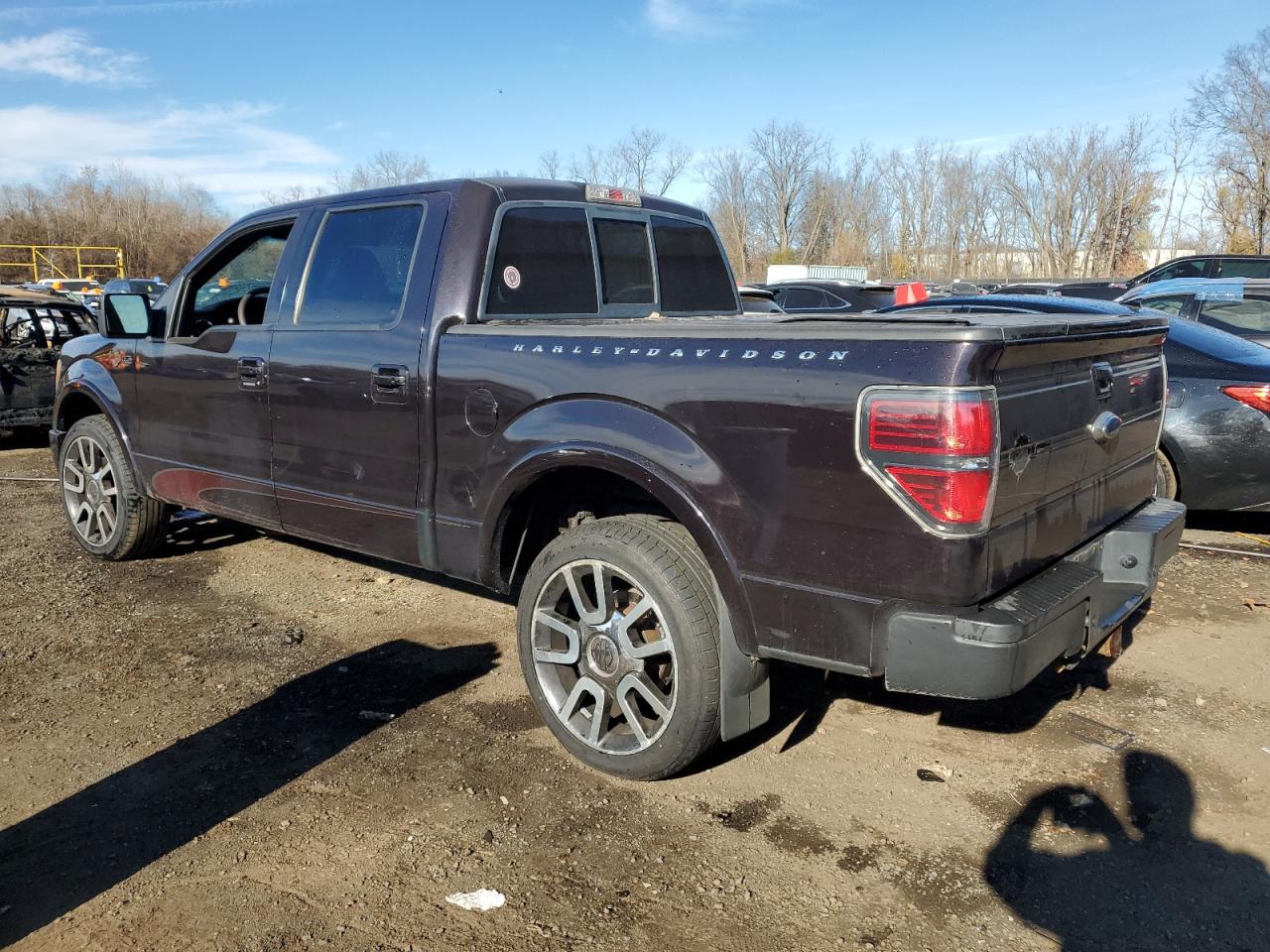 2010 Ford F-150 - Image 2