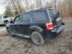 2008 Ford Escape Limited zu verkaufen in Cookstown, ON - Normal Wear