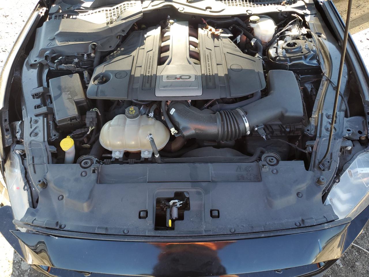 2019 Ford Mustang - Image 11