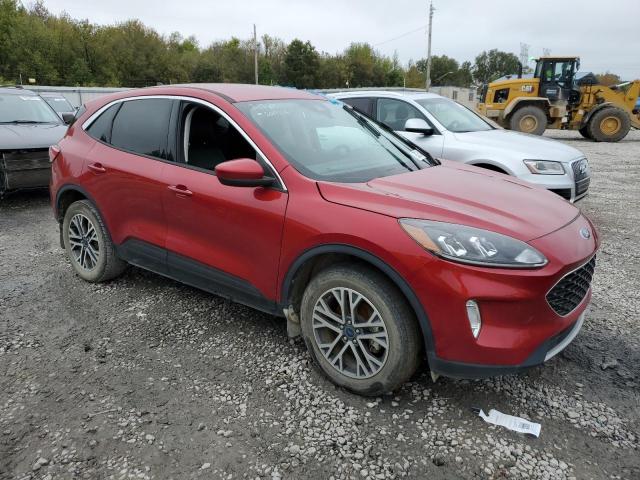  FORD ESCAPE 2022 Czerwony