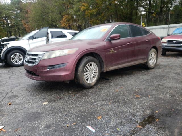 Паркетники HONDA CROSSTOUR 2012 Бордовый