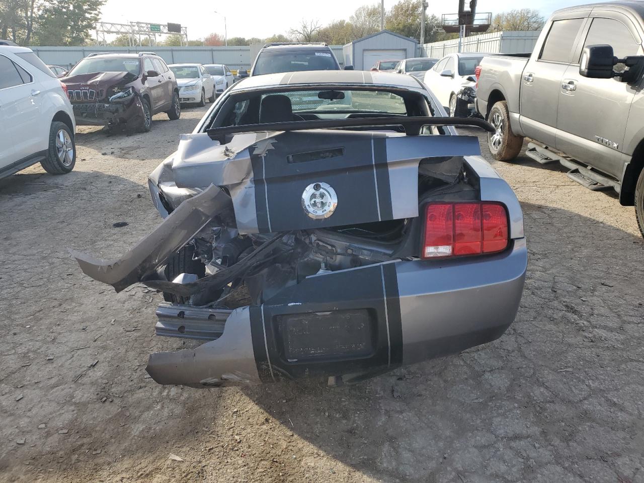 2006 Ford Mustang VIN: 1ZVFT80NX65179944 Lot: 80428074