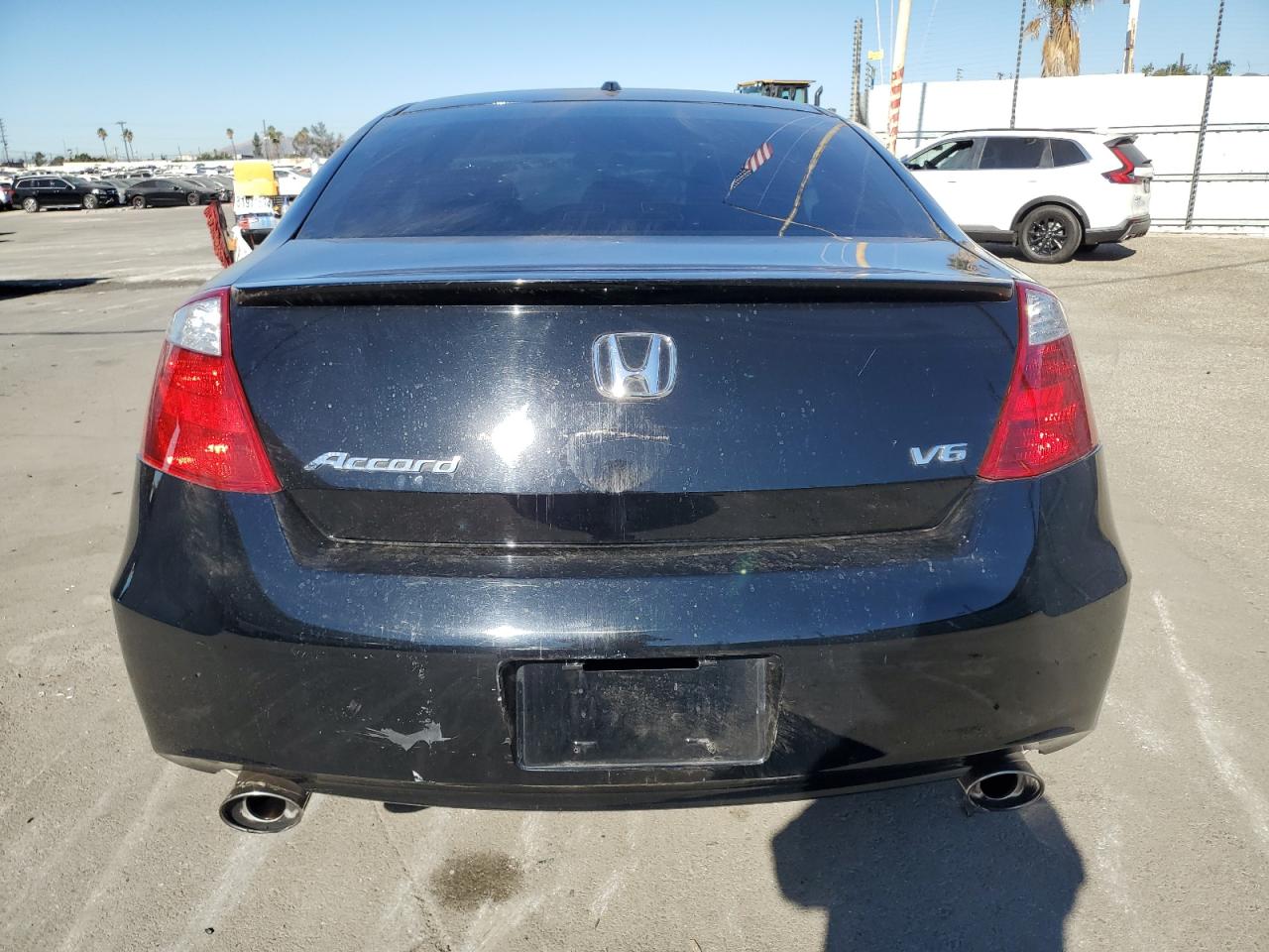 2010 Honda Accord Exl VIN: 1HGCS2B81AA006280 Lot: 81600274