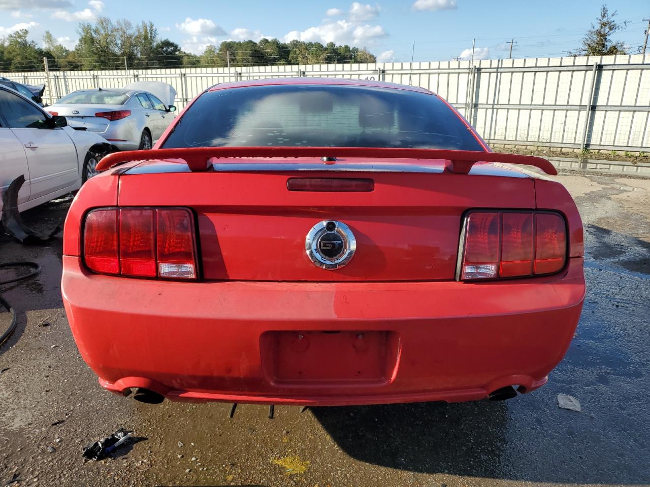 2009 Ford Mustang Gt VIN: 1ZVHT82H795131726 Lot: 80060914