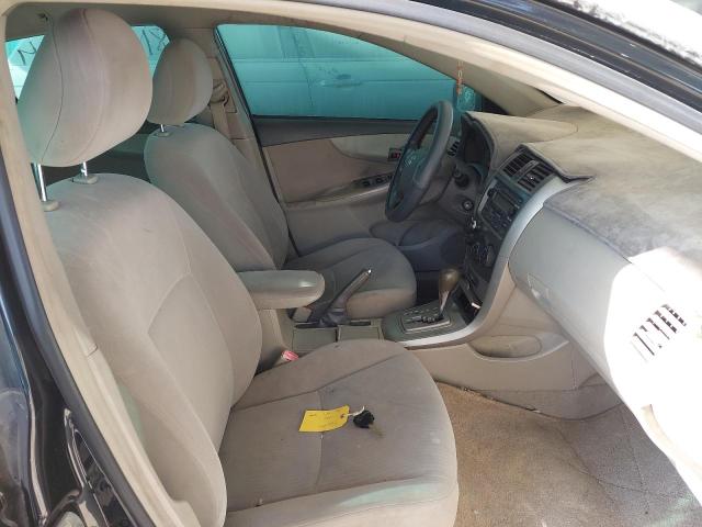 JTDBR42E3AJ018146 - 2010 TOYOTA COROLLA - #81866904