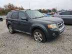 2009 Ford Escape Limited na sprzedaż w Memphis, TN - Side