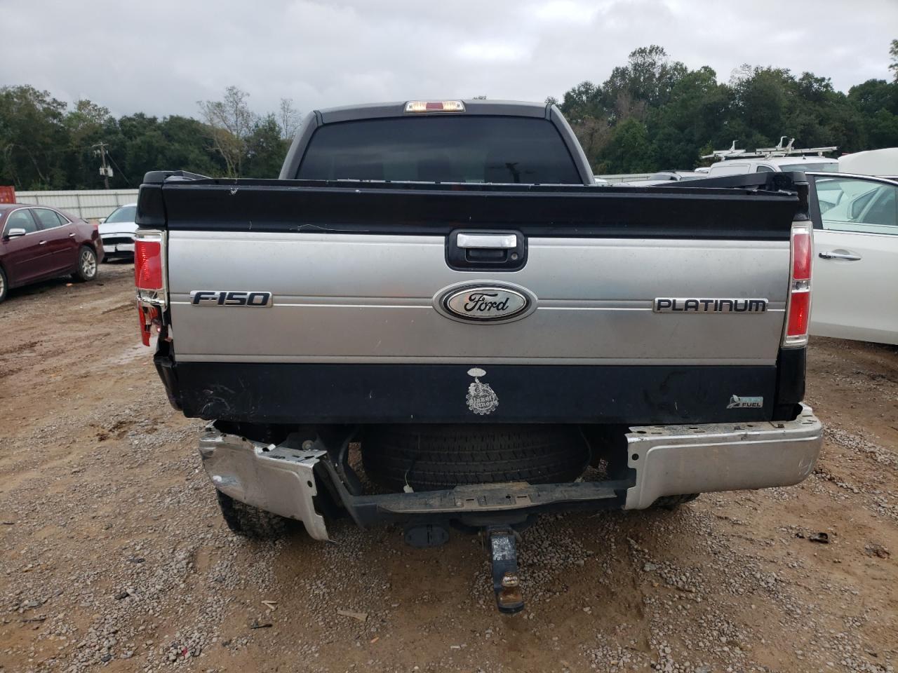 2013 Ford F150 VIN: 1FTMF1CM8DFC77115 Lot: 79732144