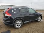 2013 Honda Cr-V Exl for Sale in Bismarck, ND - Hail