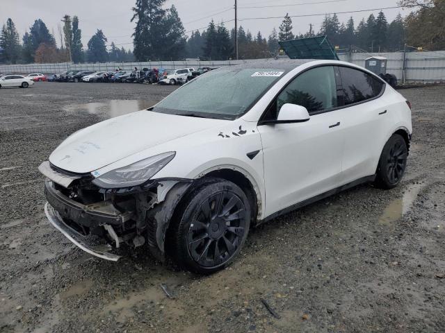 5YJYGAEE4MF142836 Tesla Model Y 