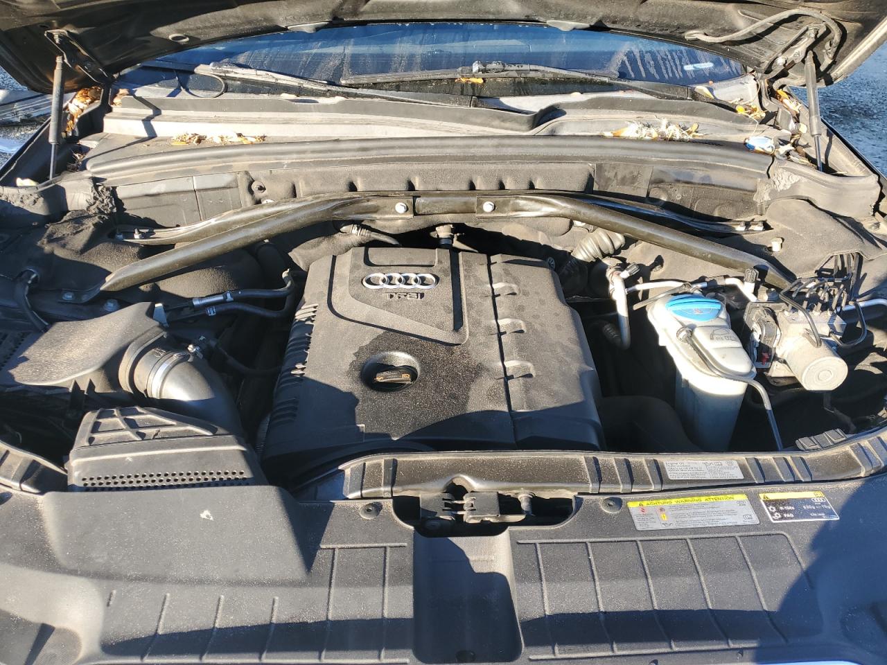 2013 Audi Q5 Premium VIN: WA1CFAFP3DA009047 Lot: 81668004