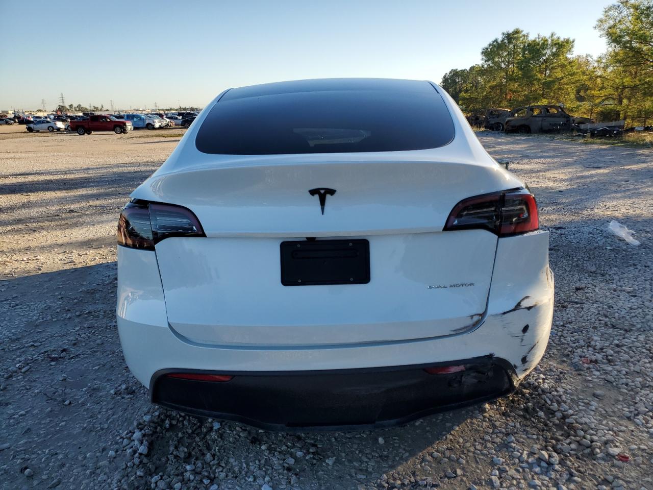 2024 Tesla Model Y VIN: 7SAYGAEE7RF089303 Lot: 81141374