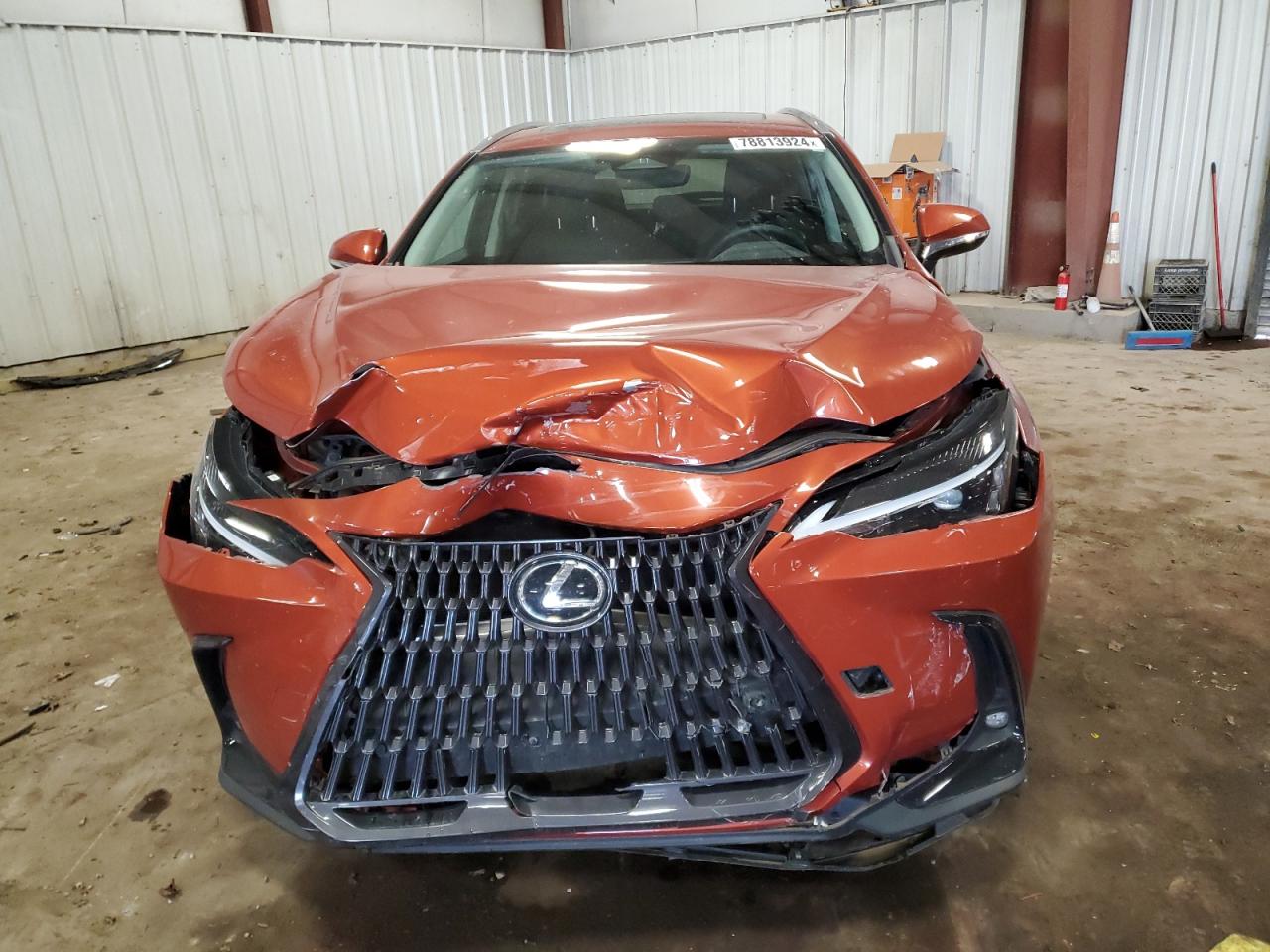 2023 Lexus NX - Image 5