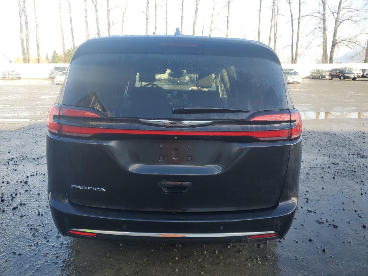 2021 Chrysler Pacifica Touring VIN: 2C4RC1FG9MR521710 Lot: 80771894