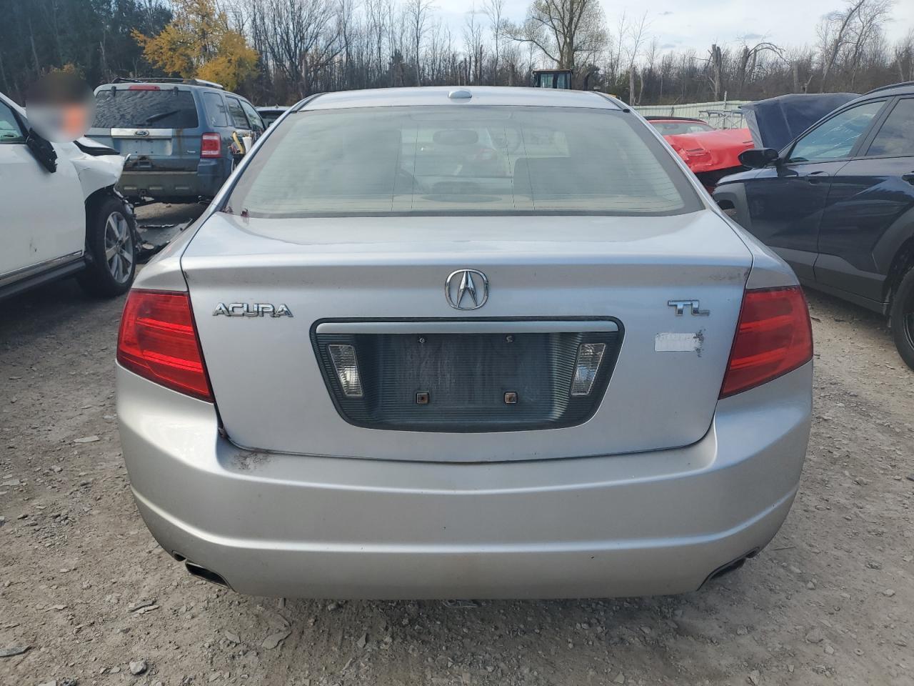 2004 Acura Tl VIN: 19UUA66244A042182 Lot: 78751734