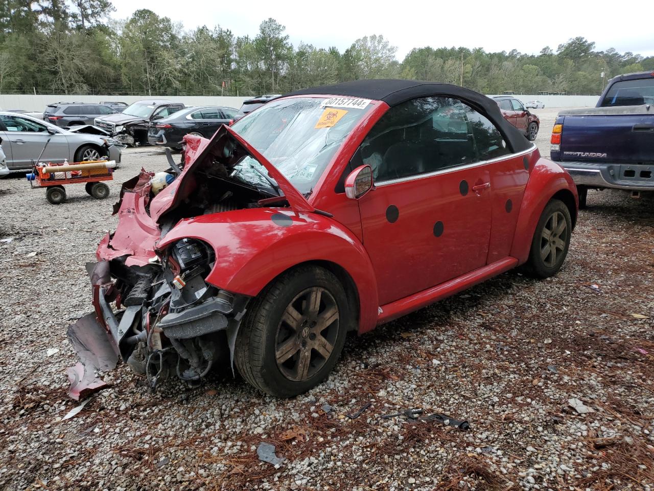 2006 Volkswagen New Beetle Convertible Option Package 1 VIN: 3VWRF31Y96M331237 Lot: 80157744