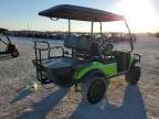 2023 Golf Cart Cart en Venta en Arcadia, FL - Water/Flood