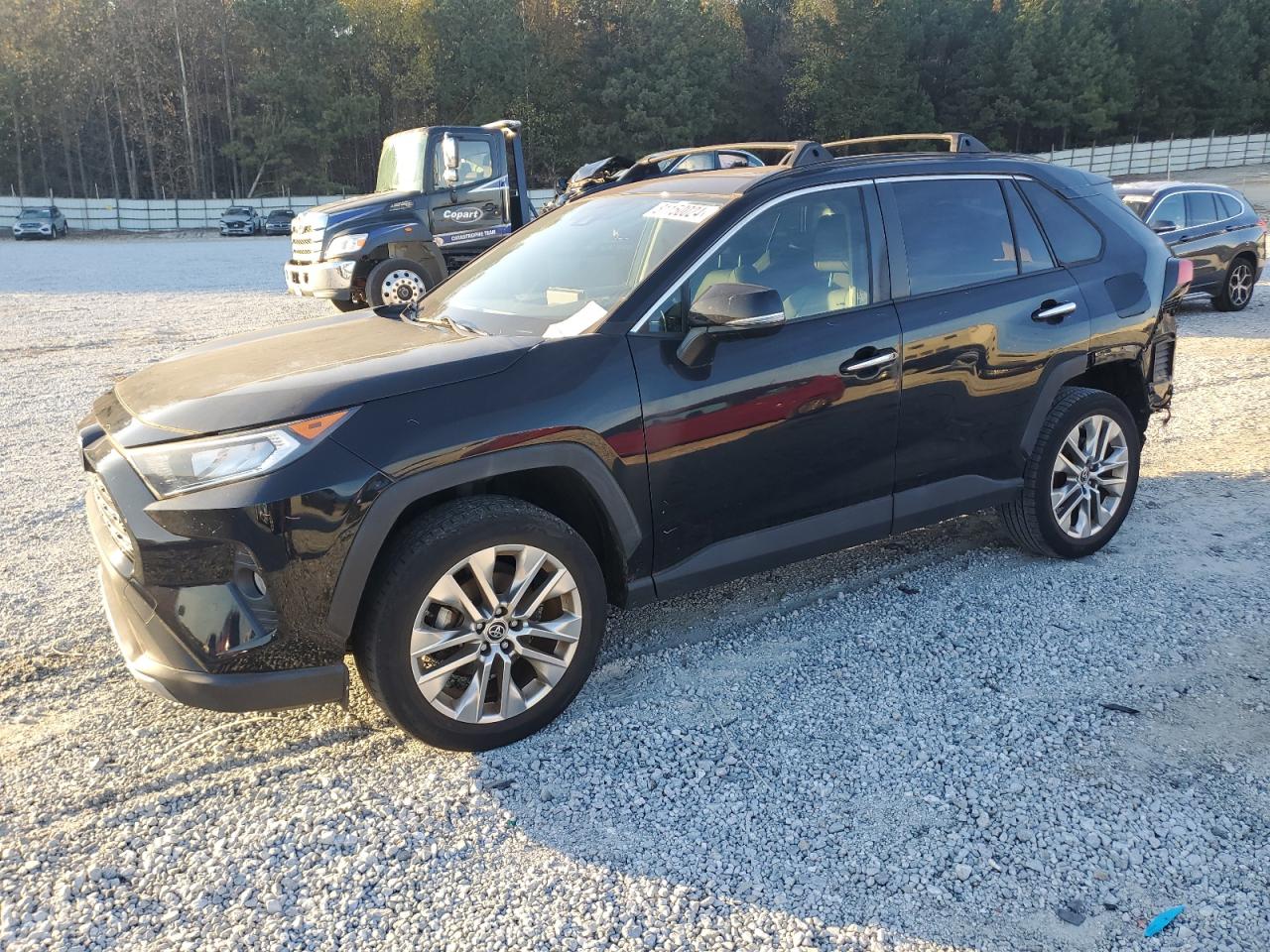 2019 Toyota Rav4 Limited VIN: JTMY1RFV8KD507649 Lot: 81150024