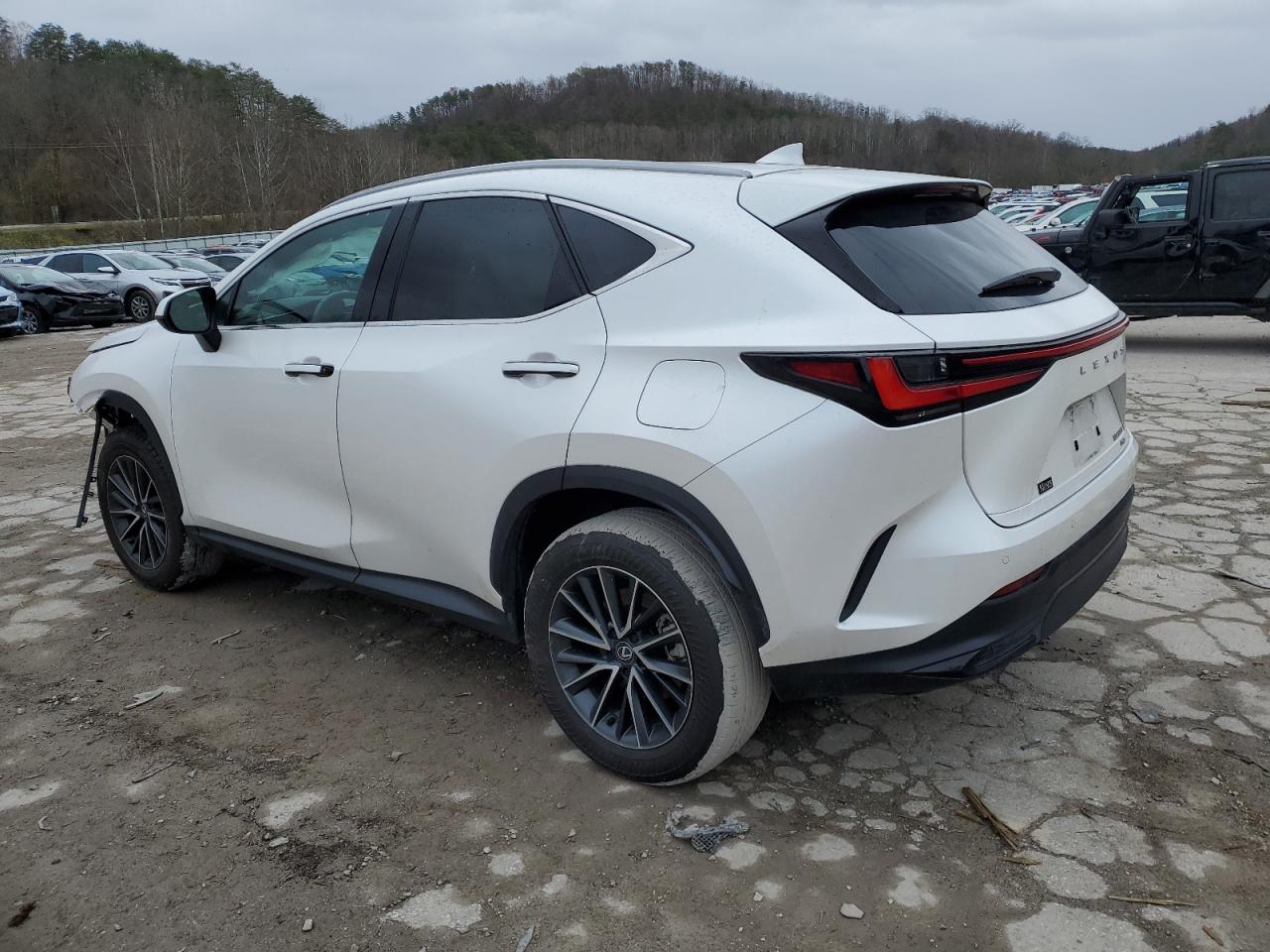2024 Lexus NX - Image 2