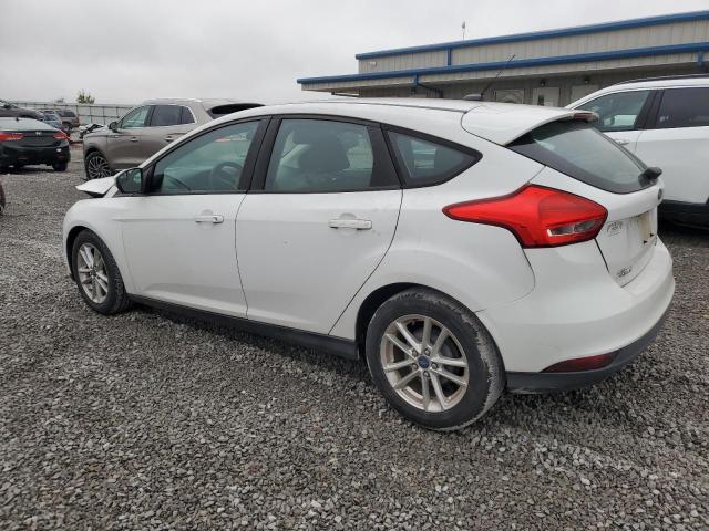 Hatchbacks FORD FOCUS 2015 White