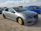 2017 Hyundai Sonata Se იყიდება San Antonio-ში, TX - Vandalism