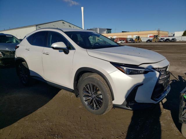 2023 LEXUS NX 250