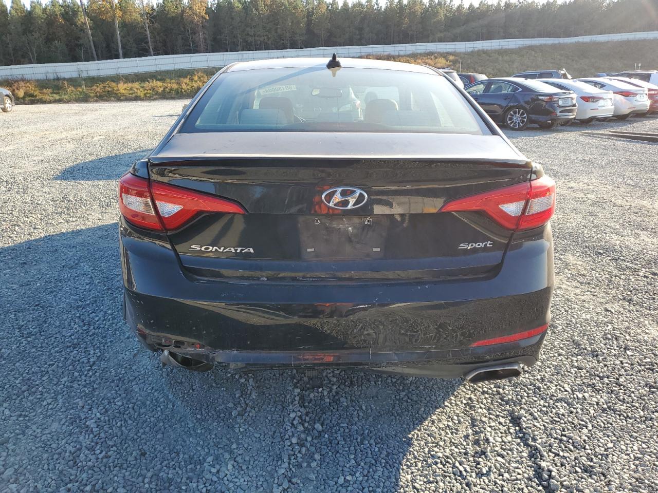 VIN 5NPE34AF9GH337531 2016 HYUNDAI SONATA no.6