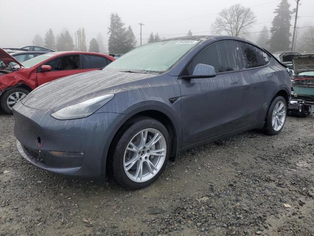  TESLA MODEL Y 2023 Серый