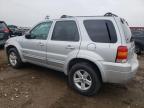 2006 Ford Escape Hev продається в Elgin, IL - Side